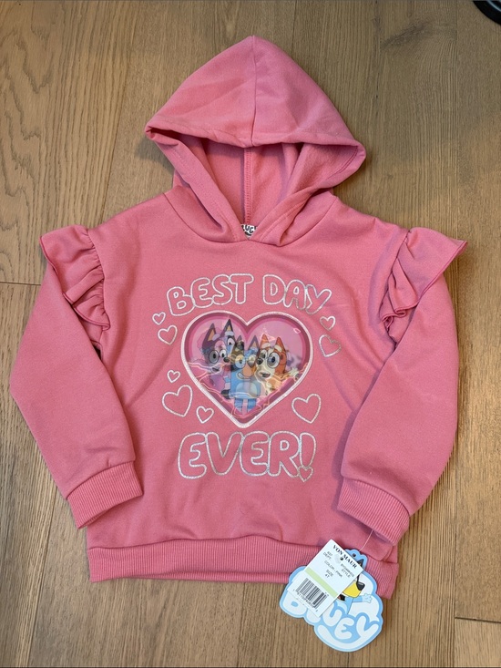 Bluey Other - Bluey Toddler Girls Pink Ruffle Sleeve 'Best Day Ever' Hooded Sweatshirt